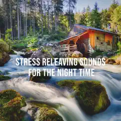 Soothing Melody of a Water Mill That Absorbs the Energy of a Small River: Stress Releaving Sounds for the Night Time by Alpine Sounds album reviews, ratings, credits