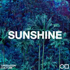 Sunshine - Single by Operation Culture album reviews, ratings, credits