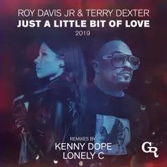 Just a Little Bit of Love 2019 by Roy Davis Jr. & Terry Dexter album reviews, ratings, credits