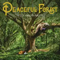 Peaceful Forest - Single by Joseph Akins album reviews, ratings, credits