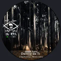 Dentro De Ti (Minicrobio Remix) Song Lyrics