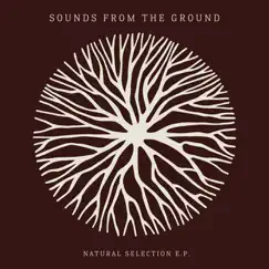 Natural Selection - Single by Sounds from the Ground album reviews, ratings, credits