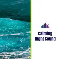 Calming Night Sound - Single by 3D HD Nature Sounds Water Flows album reviews, ratings, credits