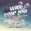 Was Voor Jou - Single album lyrics, reviews, download