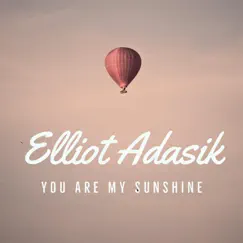 You Are My Sunshine - EP by Elliot Adasik album reviews, ratings, credits