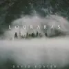 Lograrás - Single album lyrics, reviews, download
