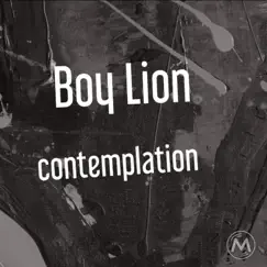 Contemplation by Boy Lion album reviews, ratings, credits