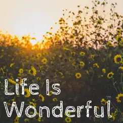 Life Is Wonderful - Single by Zachary Nelson album reviews, ratings, credits