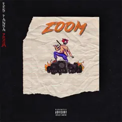 Zoom Song Lyrics