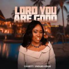 Lord You Are Good - Single by Charity Unegbu-Udoh album reviews, ratings, credits