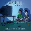 HYRUL (Remix) - Single album lyrics, reviews, download