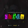 Shida (feat. Khaleemani & TISCO) - Single album lyrics, reviews, download