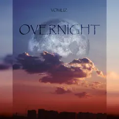 Overnight - Single by Vomuz album reviews, ratings, credits