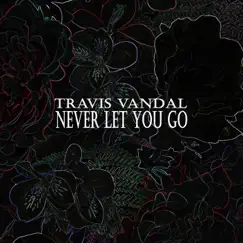 Never Let You Go - Single by Travis Vandal album reviews, ratings, credits