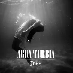Agua Turbia - Single by Joee album reviews, ratings, credits
