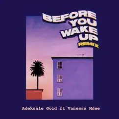 Before You Wake Up (feat. Vanessa Mdee) [Remix] - Single by Adekunle Gold album reviews, ratings, credits