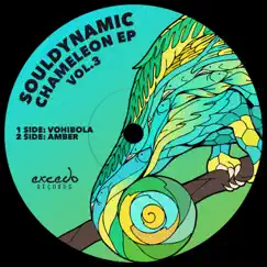 Chameleon EP, Vol.3 - Single by Souldynamic album reviews, ratings, credits