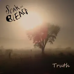 Truth - Single by Soak in Bleach album reviews, ratings, credits