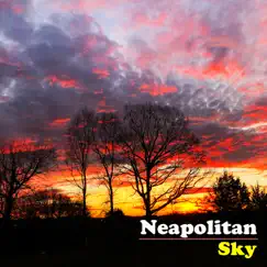Neapolitan Sky - Single by The Avett Brothers album reviews, ratings, credits