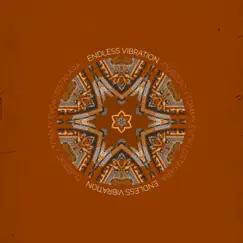 Endless Vibration - Single by Dubzoic album reviews, ratings, credits