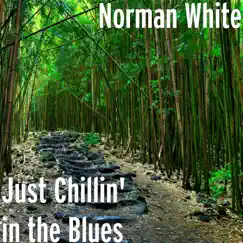 Just Chillin' in the Blues - Single by Norman White album reviews, ratings, credits