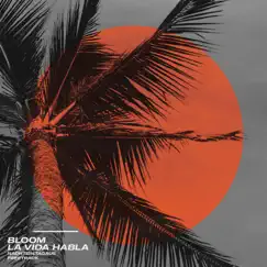 La Vida Habla - Single by BLOOM album reviews, ratings, credits
