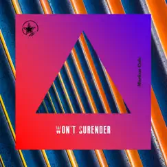 Won't Surrender Song Lyrics