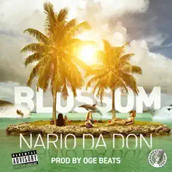Blossom - Single by Nario Da Don album reviews, ratings, credits