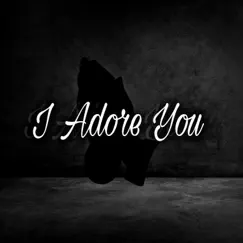 I Adore You (feat. Jada Vizzle) Song Lyrics