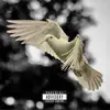 Birds (feat. P€€€T) [Remix] - Single album lyrics, reviews, download