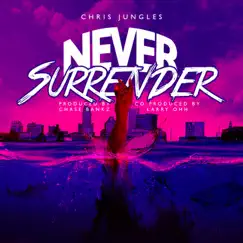 Never Surrender - Single by Chris Jungles album reviews, ratings, credits