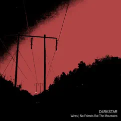 Wires / No Friends but the Mountains - Single by D4RKSTAR album reviews, ratings, credits