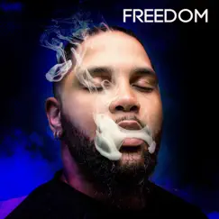 Hustler - Single by Freedom album reviews, ratings, credits