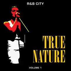 R&B City: True Nature, Vol. 1 by Various Artists album reviews, ratings, credits