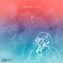 Much Luv (feat. LPTHERAPPER & Jaysanityy) Song Lyrics