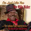 I'm Just Like You (feat. The Sons of the Soul Revivers) - Single album lyrics, reviews, download