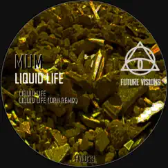 Liquid Life (Orn Remix) Song Lyrics