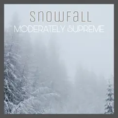 Snowfall - Single by Moderately Supreme album reviews, ratings, credits