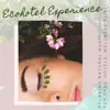 Ecohotel Experience - Relaxing Natural Music for Spas, Hotels, Wellness album lyrics, reviews, download