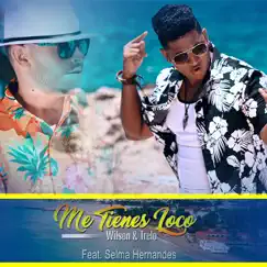 Me Tienes Loco (feat. Selma Hernandes) - Single by Wilson & Trelo album reviews, ratings, credits