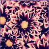 Electric Flower Bloom - Single album lyrics, reviews, download
