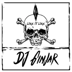 Like It Like - Single by DJ Ginjar album reviews, ratings, credits