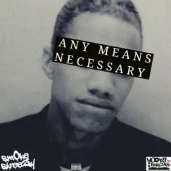 Any Means Necessary (feat. Hooks N Punches) - Single by SmOke skreeZy album reviews, ratings, credits