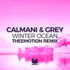 Winter Ocean (Theemotion Remix) [Remixes] - Single album lyrics, reviews, download