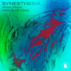 Synesthesia Song Lyrics