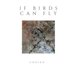 If Birds Can Fly Song Lyrics