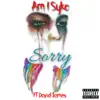 Sorry (feat. David James) - Single album lyrics, reviews, download