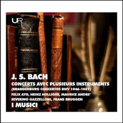 Brandenburg Concerto No. 1 in F Major, BWV 1046: IV. Menuetto Song Lyrics