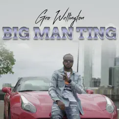 Big Man Ting - Single by Geo Wellington album reviews, ratings, credits