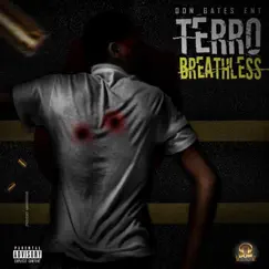 Breathless - Single by Terro album reviews, ratings, credits